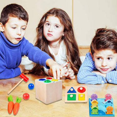 5in1 Wooden Montessori Educational Toy